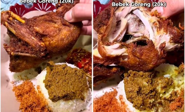 3 Rekomendasi Bebek Goreng Legendaris di Surabaya: Dapatkan Nilai 9.5/10 dari Food Vlogger Terkemuka Nanakoot!