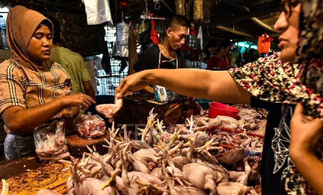 Asosiasi: Harga Daging Bakal Anjlok dengan Penghapusan Kuota Impor