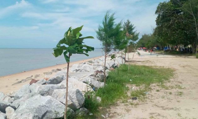 Ardal Koba: Surga Tersembunyi untuk Istirahat dan Menyantap di Perjalanan Bangka Tengah