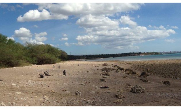 Perjalanan Cepat ke Pantai Kupang: Nikmati Sunset Sambil Menikmati Kuliner Lezat