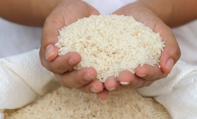 Simpan Beras Bebas Kutu dengan Tambahkan Bumbu Ini ke Rice Cooker Anda