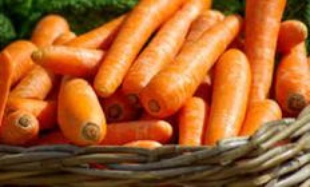 Harga Sayuran di Madiun 10 Mei 2025: Wortel Tertinggi di Jawa Timur, Rp17 Ribu/Kg!