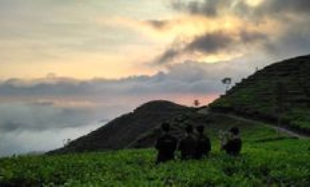 Tempat Wisata Terbaru Boja Kendal 2025: dari Surga Alam hingga Hidangan Tebing Sawah