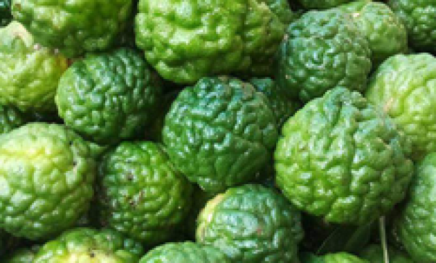 Minuman Alami untuk Mengurangi Peradangan Amandel, Cepat dan Mudah Dibuat!