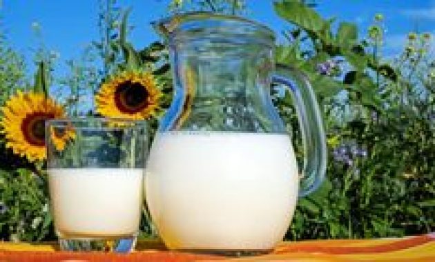 5 Merk Susu Cair Berkurang Gula dan Kalori, Solusi Ideal Untuk Diet Sehat Anda