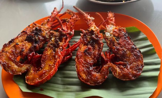 Tentu! Berikut rephrasing dari judul tersebut dalam Bahasa Indonesia yang lebih captivating dan concise:

**5 Kuliner Seafood Segar dengan Pemandangan Alam Memukau di Pacitan**  

Jika ingin versi yang lebih santai dan menarik perhatian pembaca:  

**Lapar di Pacitan? Coba 5 Kuliner Seafood Murah dengan View Pantai yang Keren Abis!**

Silakan pilih yang sesuai dengan gaya kontenmu!