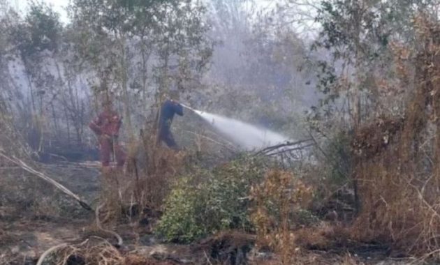 Karhutla Menerjang Riau, Wamenhut Klaim Tindakan Mitigasi Sudah Dilakukan