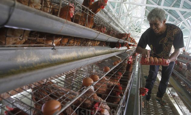 Harga Pangan 15 Juli: Beras Turun, Ayam Naik 4,7% dari Kemarin