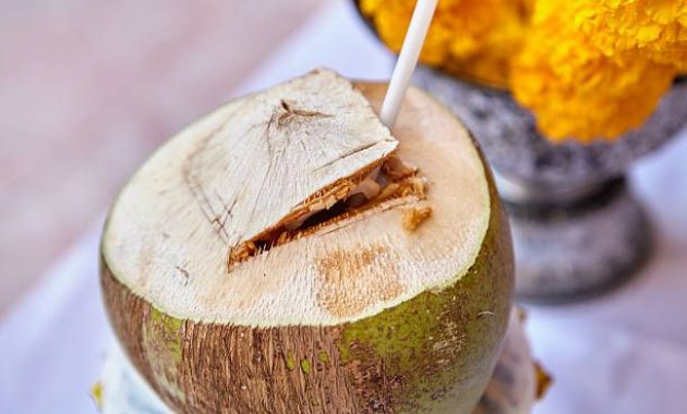 Tips Minum Air Kelapa untuk Kesehatan Tubuh