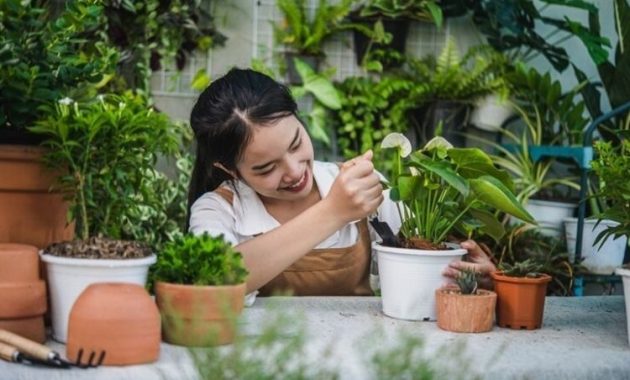 Pecinta Tanaman Memiliki 8 Kualitas Hebat, Menurut Psikologi