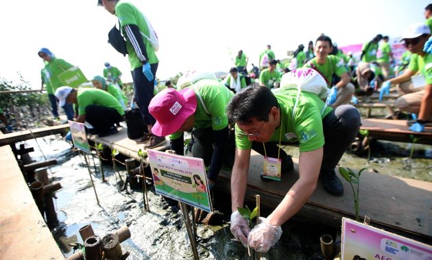 Menjaga Lingkungan dengan Menanam 1.000 Pohon Bakau di Tangerang