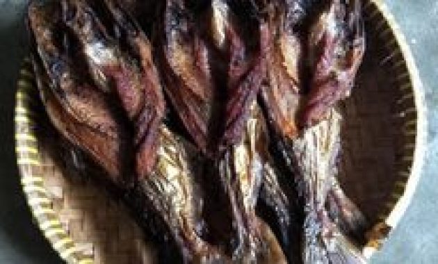 Makanan Lezat dan Terjangkau di Trenggalek 2025, Sudah Coba?