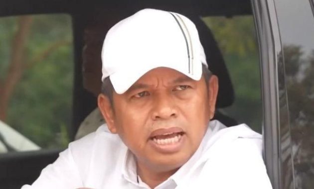 Wulan, Keponakan Dedi Mulyadi, Sukses Jual Gorengan Lebih Besar dari Gaji Honorer