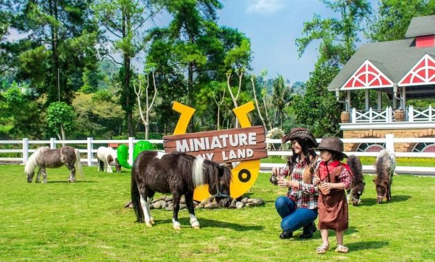 10 Tempat Kuliner Menarik di Bogor dengan Pemandangan Indah