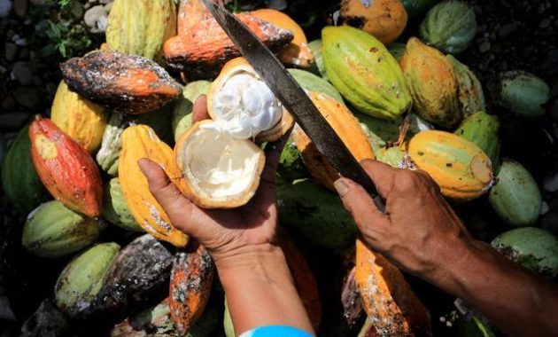 Krisis Iklim Picu Kenaikan Harga Pangan Global