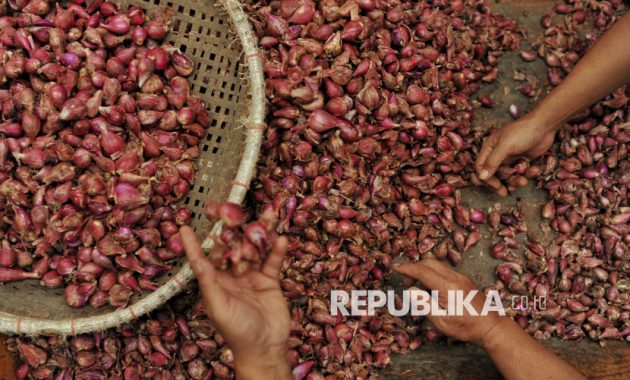 Harga Bawang Merah Menggoyang, Kementan Jamin Pasokan Stabil