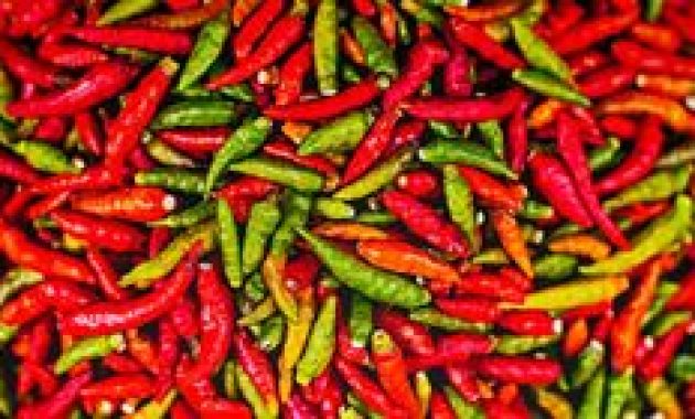 Harga Pangan Bandar Lampung 2 Agustus: Cabai dan Daging Turun, Beras Naik