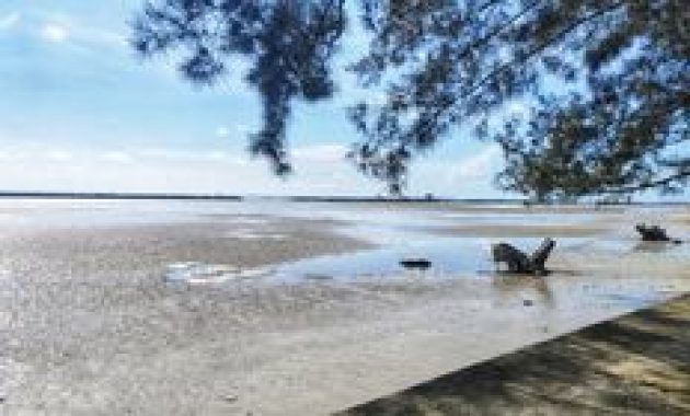 Wisata Pangkalpinang: Pantai, Kuliner, dan Alam yang Menggugah Selera dan Jiwa