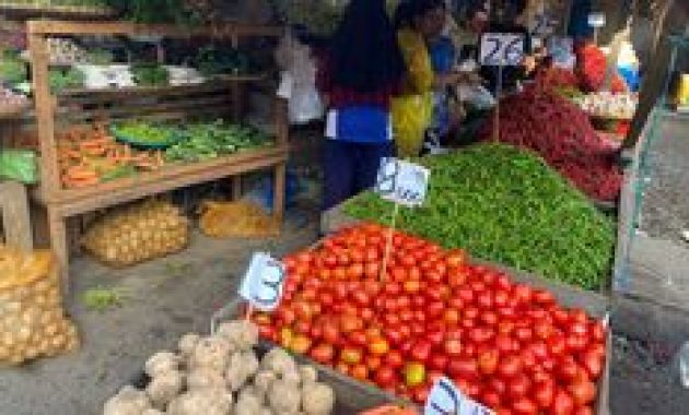 Harga Cabai Sumut Anjlok, Petani Khawatir Tekanan Berlanjut