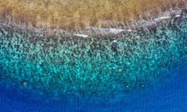 Hanya Beberapa Jam dari Jakarta! 6 Spot Snorkeling Pulau Seribu untuk Liburan Singkat
