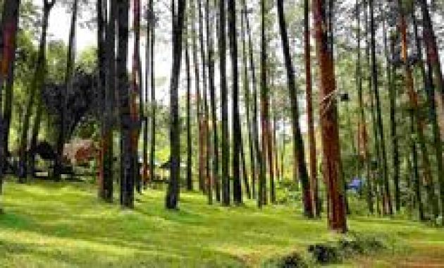 Kunjungi Madiun: Daftar Wisata Keluarga Terbaik