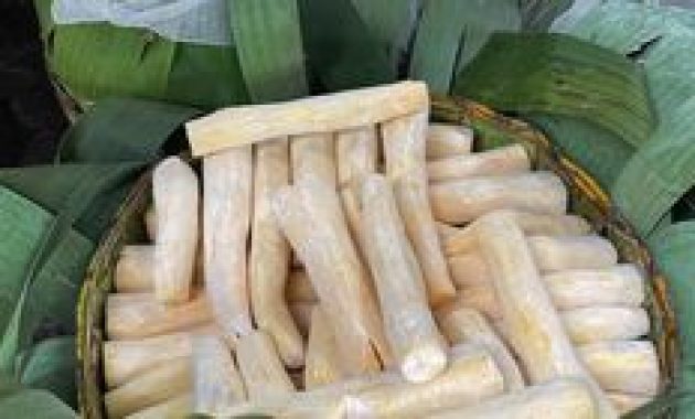 Apakah Tape Singkong Berbahaya? Ini 10 Manfaat dan Efek Sampingnya