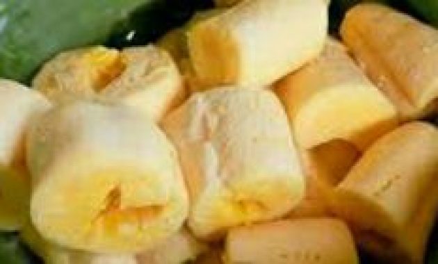 Tape Singkong Gembong Pati, Makanan Tradisional Kaya Manfaat