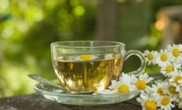 9 Minuman Sehat untuk Mengurangi Nyeri PMS