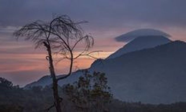 7 Wisata Kuliner Terbaik di Lumajang untuk Akhir Pekan Keluarga