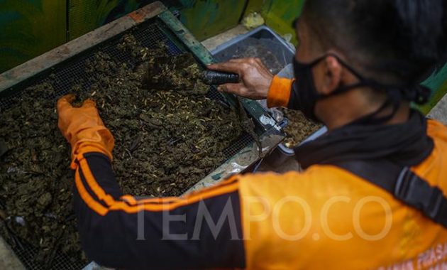 Cara Sederhana Membuat Kompos dari Sampah Rumah Tangga