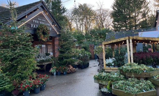 Apa yang didapat dengan £50 di toko grosir ‘£50’ Cheshire dengan antrian ‘seperti Alton Towers’
