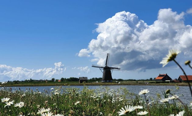 Para penggemar makanan berbondong-bondong ke Texel, pulau Belanda yang terkenal dengan daging kambingnya.
