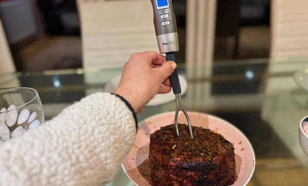 Termometer daging terbaik 2025, telah diuji dan diuji coba