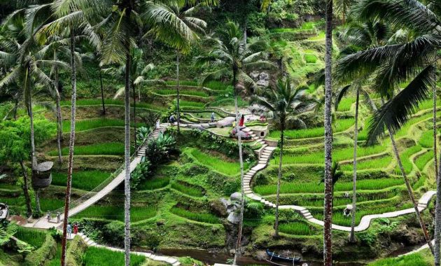 25 wisata kuliner di Ubud yang bisa kamu coba saat berkunjung