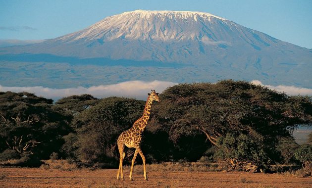 Tanzania di Usia 64 – Panggilan kepada Pemuda untuk Memulihkan Semangat Nyerere