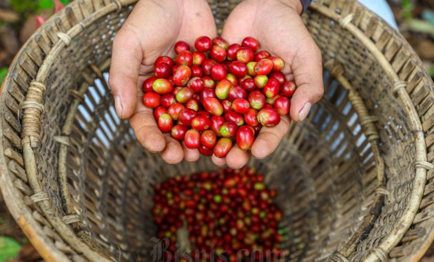 10 Negara Penghasil Kopi Berkualitas, Termasuk Indonesia