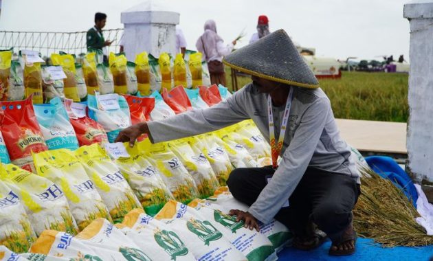 Pemerintah Jamin Ketersediaan Bahan Pokok Saat Ramadan dan Idul Fitri