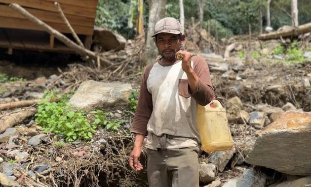 Kisah Petani Kopi Gayo Aceh yang Bertahan Usai Kebun Rusak oleh Bencana Sumatra – “Hanya Kopi Harapan Kami, Kini Tak Ada Lagi”