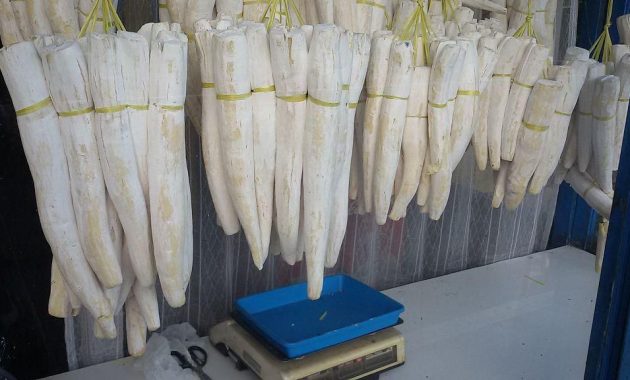 15 Oleh-Oleh Khas Bandung Paling Disukai yang Harus Dibeli